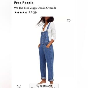 We The Free Blue Denim Overalls